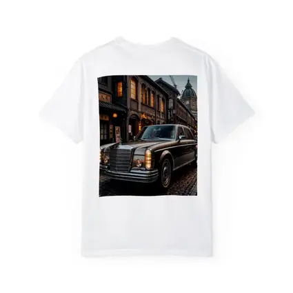 Vintage Mercedes Benz S Class Old Tokyo