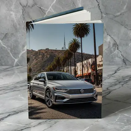 Volkswagen Passat Silver Los Angeles Palm Trees