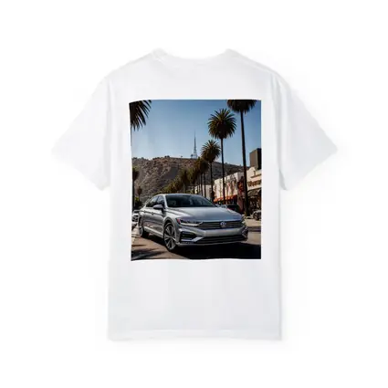 Volkswagen Passat Silver Los Angeles Palm Trees