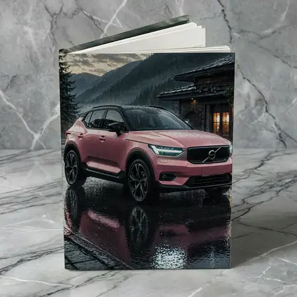 Pink Volvo XC40 Rainy Mountain Night