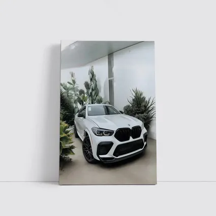 BMW X6 M White SUV Plants Background