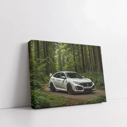 Honda Civic Type R Forest Trail