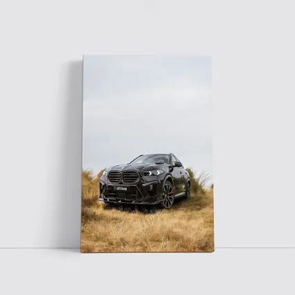 BMW X6M Black SUV Grass Field