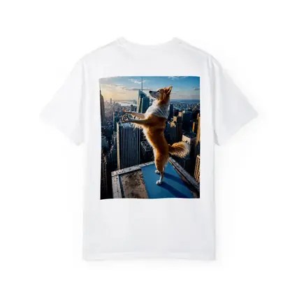 Border Collie Doing Yoga City Skyline