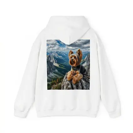 Yorkshire Terrier Sitting on Mountain Rocky Peak