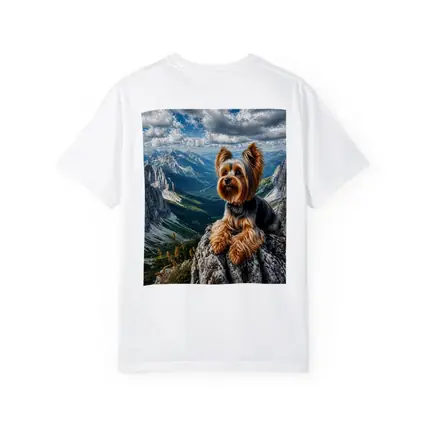 Yorkshire Terrier Sitting on Mountain Rocky Peak