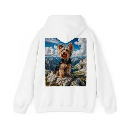 Yorkshire Terrier Standing on Mountain Summit