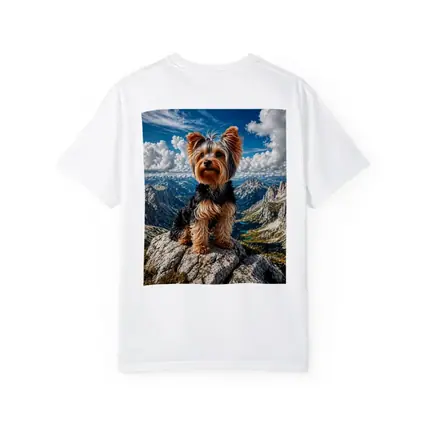 Yorkshire Terrier Standing on Mountain Summit