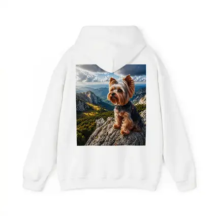 Yorkshire Terrier Sitting on Mountain Rock