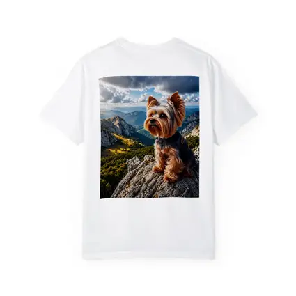 Yorkshire Terrier Sitting on Mountain Rock