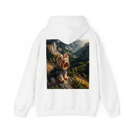 Yorkshire Terrier Sitting on Mountain Rocky Landscape