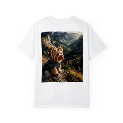 Yorkshire Terrier Sitting on Mountain Rocky Landscape