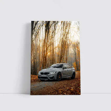 BMW M3 Gray Sedan Autumn Forest