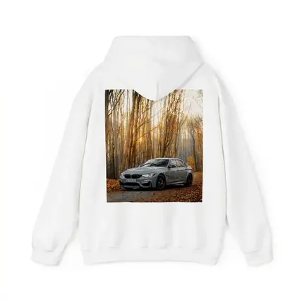 BMW M3 Gray Sedan Autumn Forest