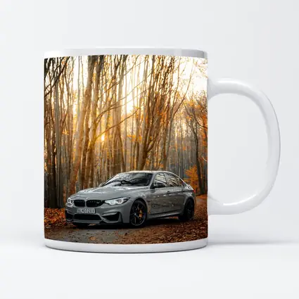 BMW M3 Gray Sedan Autumn Forest