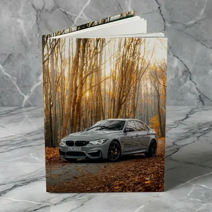 BMW M3 Gray Sedan Autumn Forest