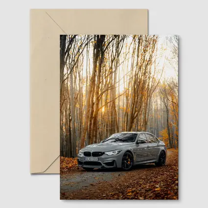 BMW M3 Gray Sedan Autumn Forest