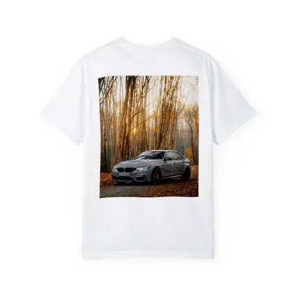 BMW M3 Gray Sedan Autumn Forest