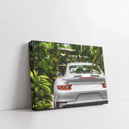 Porsche 911 Silver Rear Tropical Garden