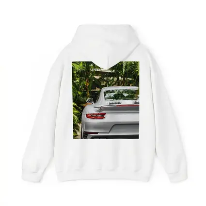 Porsche 911 Silver Rear Tropical Garden