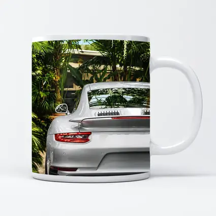 Porsche 911 Silver Rear Tropical Garden