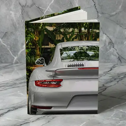 Porsche 911 Silver Rear Tropical Garden
