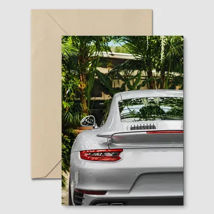 Porsche 911 Silver Rear Tropical Garden
