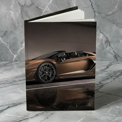 Lamborghini Aventador Bronze Garage Side Profile