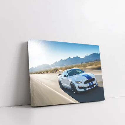 Ford Mustang Shelby GT350 Desert Highway Drive
