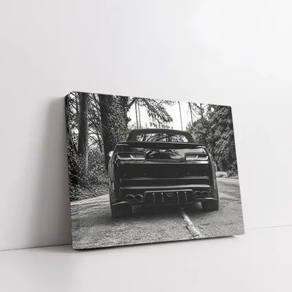 Chevrolet Camaro Black and White Road Shot