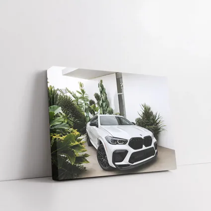 BMW X6M White SUV Tropical Plant Setting