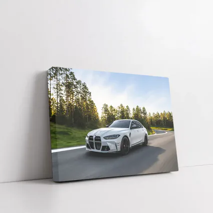 BMW M3 White Sedan on Forest Road