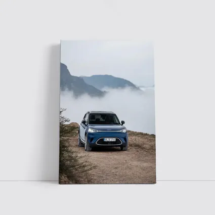 Smart Car Blue Parked Mountain Fog