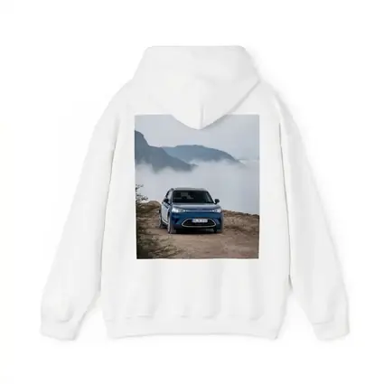 Smart Car Blue Parked Mountain Fog