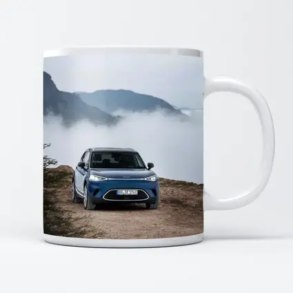 Smart Car Blue Parked Mountain Fog