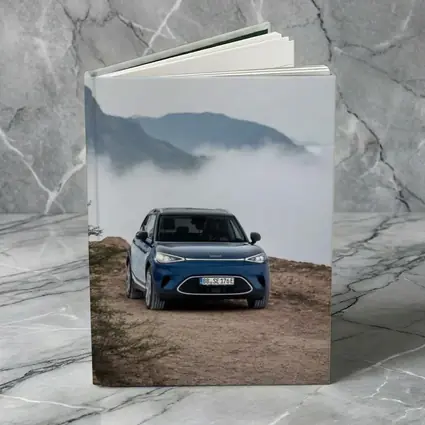Smart Car Blue Parked Mountain Fog