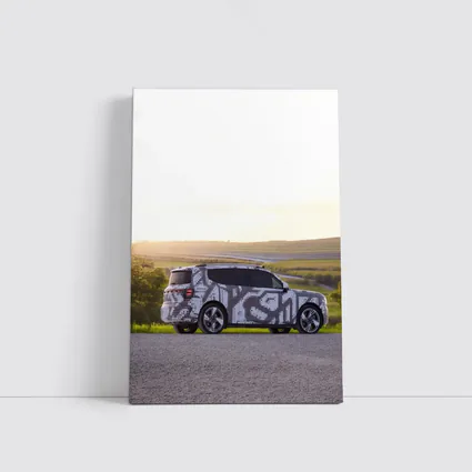 Smart Car Camouflage Wrap Golden Countryside Sunset