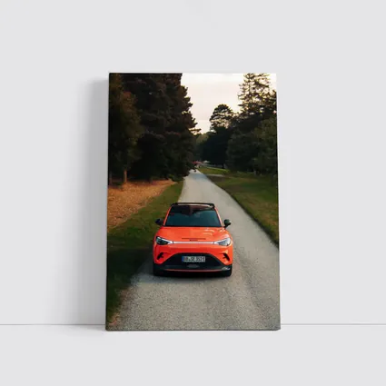 Smart Car Orange SUV Forest Road